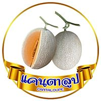 Cantaloupe